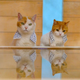 Image for article titled Cats Are the Cutest Guides to Japan